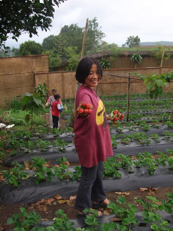 Strawberry Hill Hotel & Restaurant Bedugul  Buitenkant foto