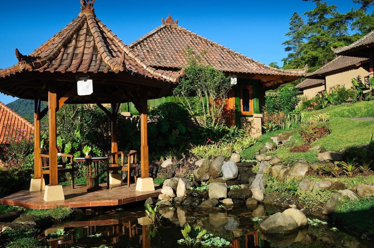 Strawberry Hill Hotel & Restaurant Bedugul  Buitenkant foto